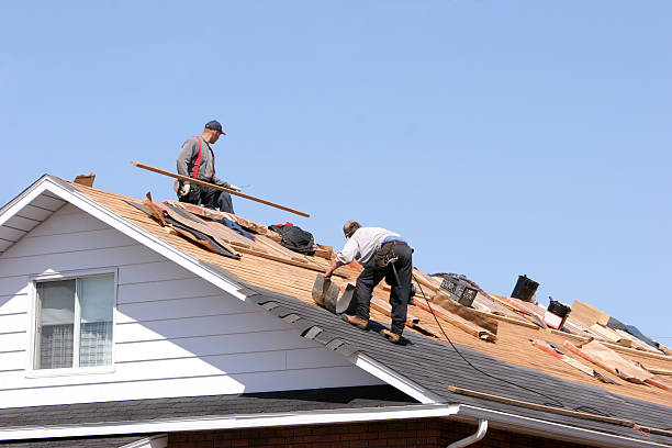 Best Roof Ventilation Installation  in Rolling Fork, MS